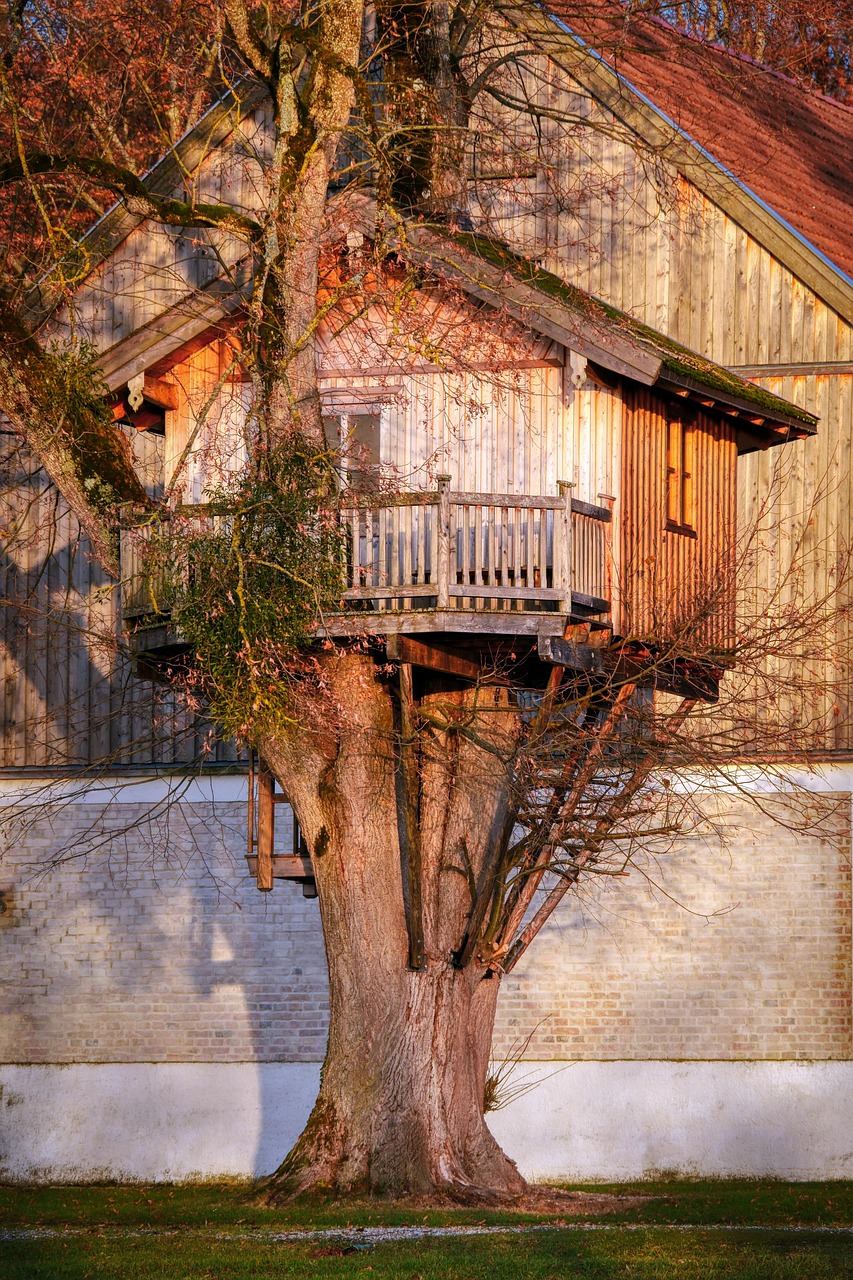 d&eacute;couvrez notre charmante cabane dans les arbres, un refuge unique en pleine nature pour des aventures inoubliables et des moments de d&eacute;tente exceptionnels.