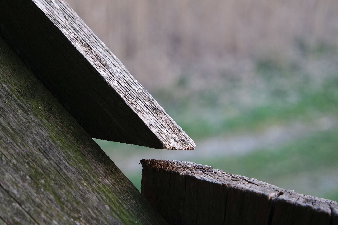 Pourquoi devriez-vous tenter l'expérience d'un séjour dans une cabane perchée ? découvrez notre sélection de cabanes dans les arbres, des refuges uniques pour vivre une expérience insolite en pleine nature.