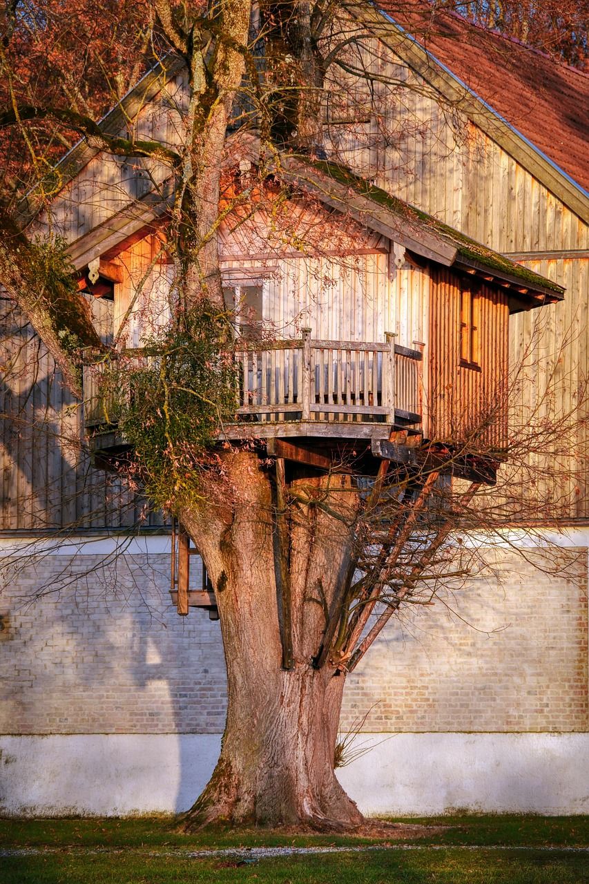 Pourquoi devriez-vous tenter l’expérience d’un séjour dans une cabane perchée ?