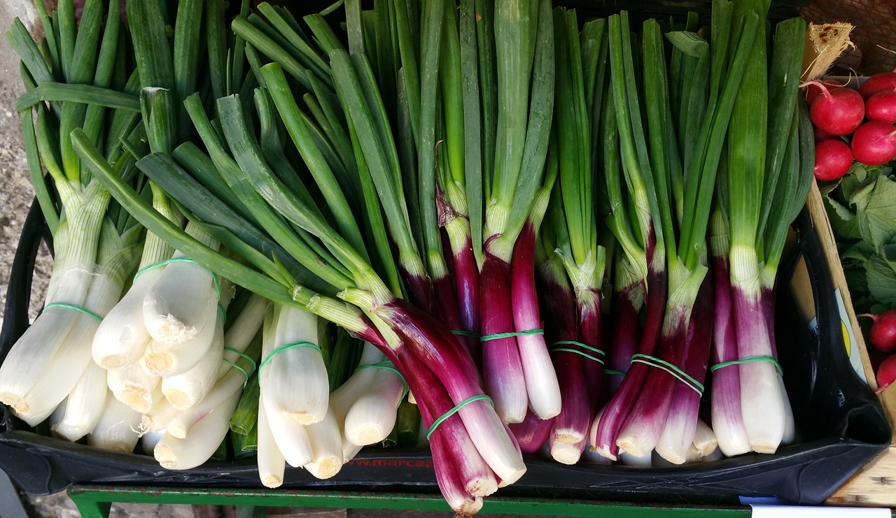 Comment partir à la découverte des marchés gastronomiques en Italie ?