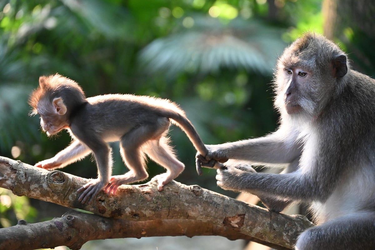 Quelles précautions prendre lors d’un voyage en famille dans un pays tropical ?