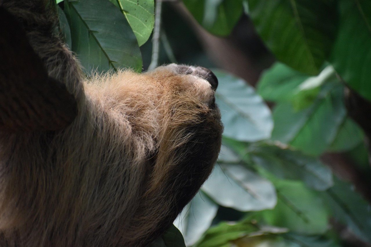 découvrez le slow travel, une approche du voyage centrée sur la lenteur, la découverte authentique et l'immersion culturelle pour profiter pleinement de chaque destination.