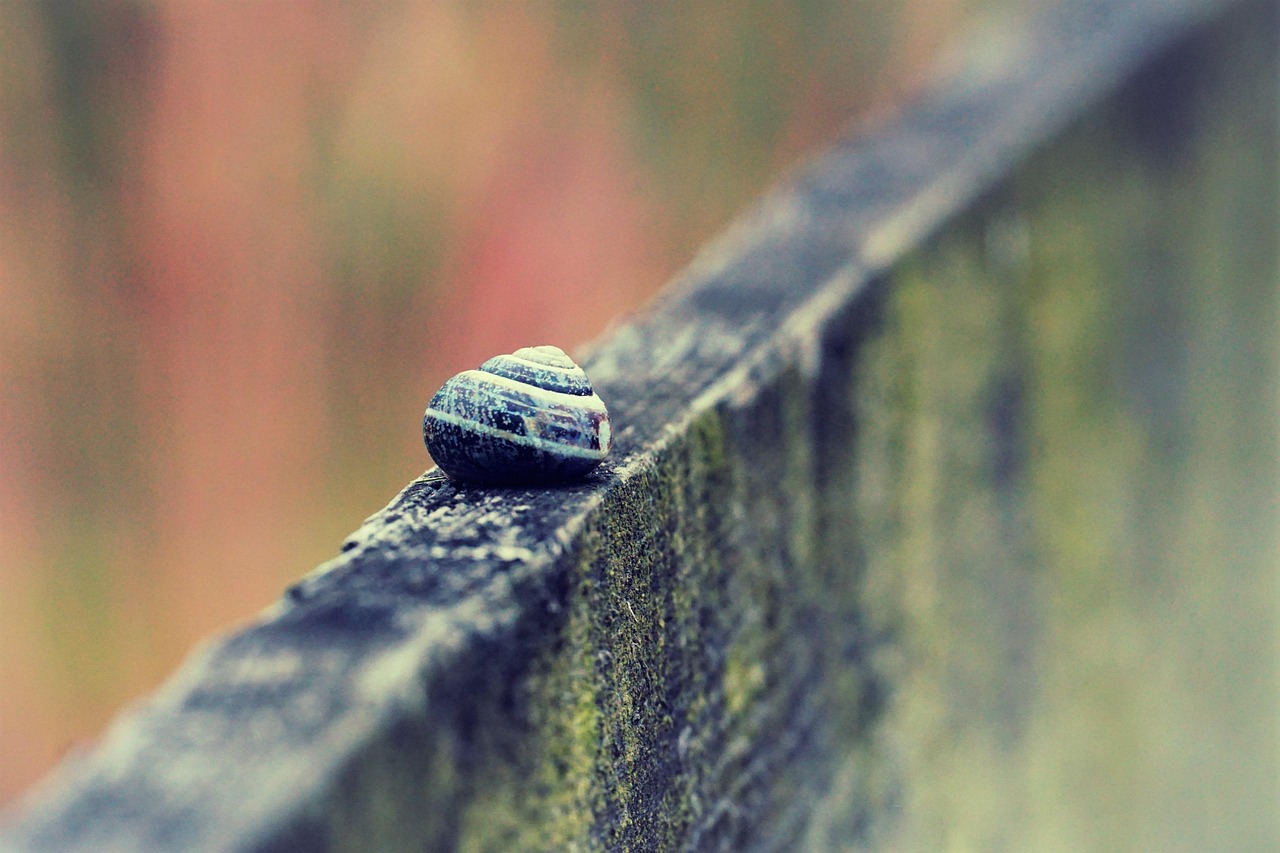 d&eacute;couvrez le slow travel, une approche de voyage qui privil&eacute;gie la lenteur, l'immersion culturelle et la d&eacute;couverte authentique des destinations.